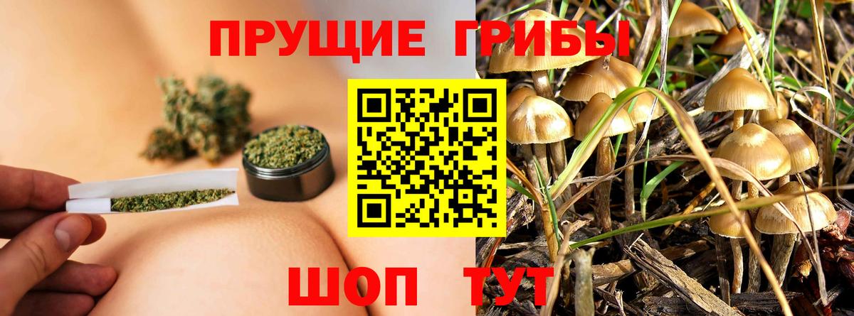 Галлюциногенные грибы мухоморы  Вход с VPN  Тверь 